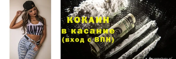 гидра Кодинск