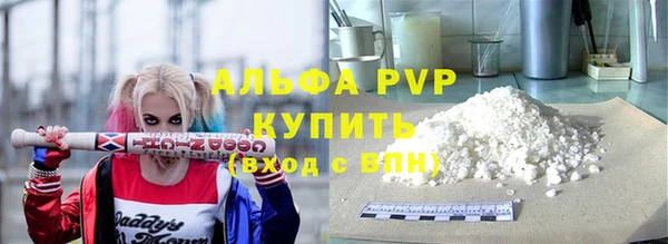гидра Кодинск