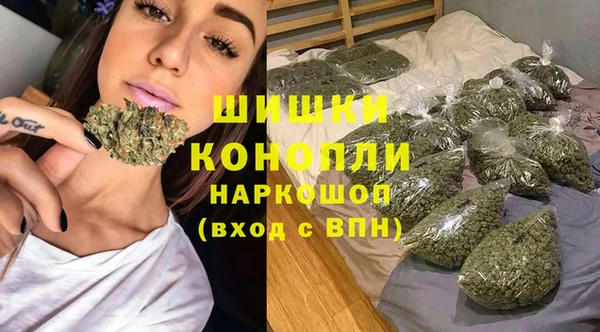 гидра Кодинск