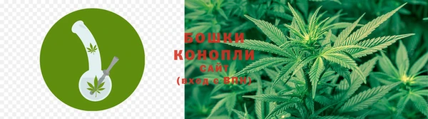2c-b Карпинск