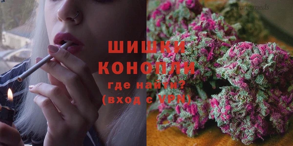 молекула духа Кинешма