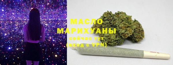 гидра Кодинск